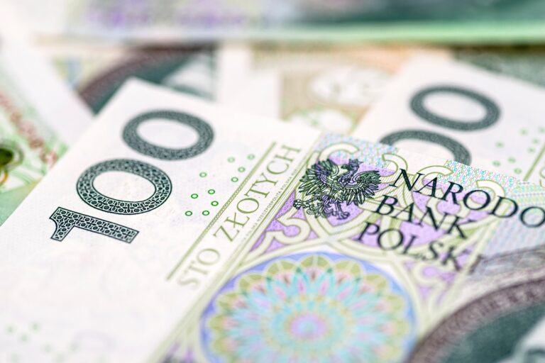 Bank Centralny w Polsce – Niezależność i Cele